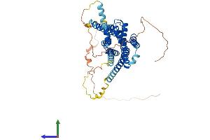 Protein Structure (PS) image for Adrenergic, beta-1-, Receptor (ADRB1) (AA 1-466) protein (His tag) (ABIN7563152)