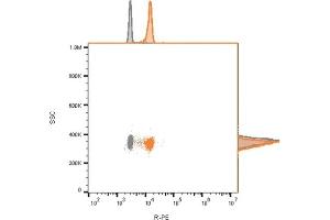 Flow cytometry analysis of bead-bound exosomes derived from MCF-7 cells. (Recombinant CD81 antibody)