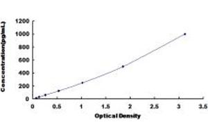 Typical standard curve