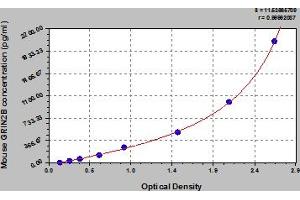 Typical Standard Curve (GRIN2B ELISA Kit)