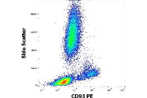 Flow cytometry surface staining pattern of human peripheral whole blood stained using anti-human CD93 (VIMD2) PE antibody (10 μL reagent / 100 μL of peripheral whole blood). (CD93 antibody  (PE))