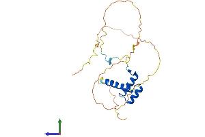 AlphaFold protein structure predicition of Mouse Recombinant Hoxb7 Protein, UniprotID P09024