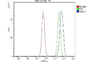 Flow Cytometry analysis of C6 cells using anti-GRID2 antibody (ABIN7603172). (GRID2 antibody  (N-Term))