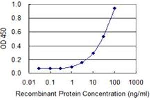 Detection limit for recombinant GST tagged SLC3A1 is 0. (SLC3A1 antibody  (AA 211-320))
