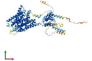 AlphaFold protein structure predicition of Human Recombinant SLC26A5 Protein, UniprotID P58743