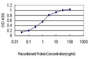 Detection limit for recombinant GST tagged TRPV1 is approximately 0. (TRPV1 antibody  (AA 21-124))