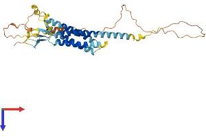 AlphaFold protein structure predicition of Mouse Recombinant Cacng4 Protein, UniprotID Q9JJV4 (CACNG4 Protein (AA 1-327) (His tag))