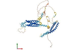Protein Structure (PS) image for Tricellulin (MARVELD2) (AA 1-555) protein (His tag) (ABIN7557322)