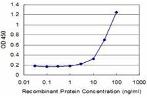 Detection limit for recombinant GST tagged GNG11 is approximately 3ng/ml as a capture antibody. (GNG11 antibody  (AA 1-69))