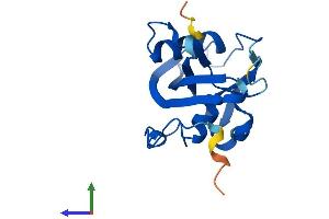 AlphaFold protein structure predicition of Mouse Recombinant Nudt15 Protein, UniprotID Q8BG93