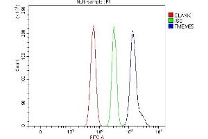 Flow Cytometry analysis of RH35 cells using anti-TMEM65 antibody (ABIN7603101).