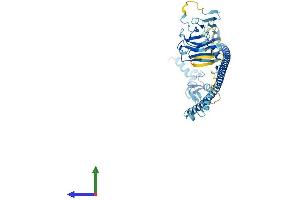 AlphaFold protein structure predicition of Mouse Recombinant Trim17 Protein, UniprotID Q7TPM3 (TRIM17 / RNF16 Protein (TRIM17) (AA 1-477) (His tag))