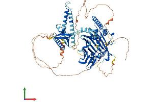 AlphaFold protein structure predicition of Mouse Recombinant Osbpl10 Protein, UniprotID S4R1M9