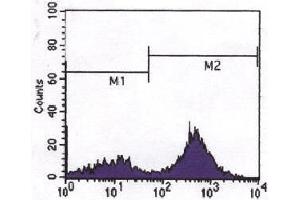 FCM analysis CD3 expressed in human peripheral blood cells. (CD3 antibody)