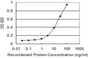 Detection limit for recombinant GST tagged PANK4 is 0. (PANK4 antibody  (AA 673-773))