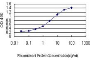 Detection limit for recombinant GST tagged LEF1 is approximately 0. (LEF1 antibody  (AA 14-123))