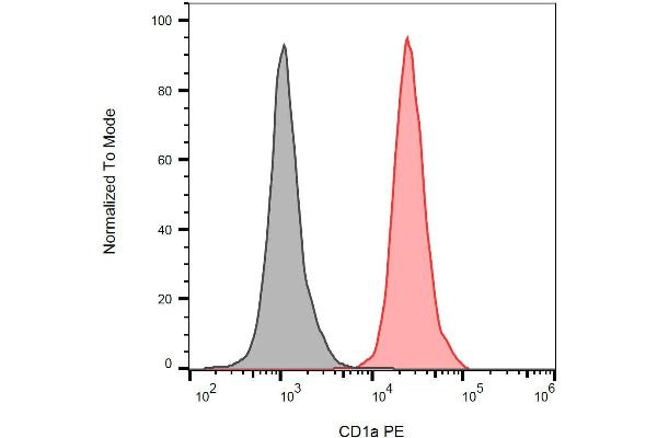 CD1a antibody  (FITC)