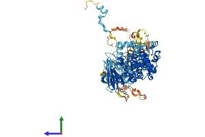 AlphaFold protein structure predicition of Mouse Recombinant Rps6ka1 Protein, UniprotID P18653 (RPS6KA1 Protein (AA 1-724) (His tag))