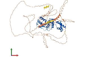 AlphaFold protein structure predicition of Mouse Recombinant Senp5 Protein, UniprotID Q6NXL6 (SENP5 Protein (AA 1-749) (His tag))