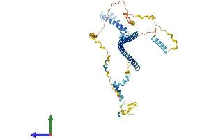 AlphaFold protein structure predicition of Human Recombinant PDCD7 Protein, UniprotID Q8N8D1 (PDCD7 Protein (AA 1-485) (His tag))