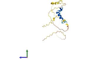 AlphaFold protein structure predicition of Mouse Recombinant Cited4 Protein, UniprotID Q9WUL8