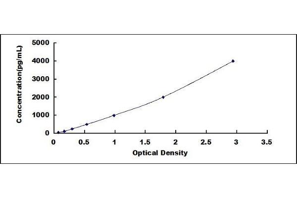 IL1RL1 ELISA Kit