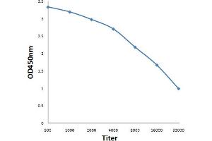 Antigen: 0. (ARAF antibody  (pSer299))