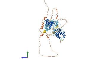 AlphaFold protein structure predicition of Human Recombinant SP140L Protein, UniprotID Q9H930