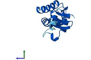 AlphaFold protein structure predicition of Human Recombinant SH3BGRL Protein, UniprotID O75368