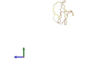 AlphaFold protein structure predicition of Human Recombinant SMCP Protein, UniprotID P49901 (SMCP Protein (AA 1-116) (His tag))