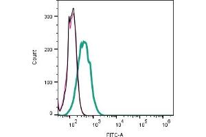 Cell surface detection of  by indirect flow cytometry in live intact  human  Melanoma cells: + goat-anti-rabbit-FITC.