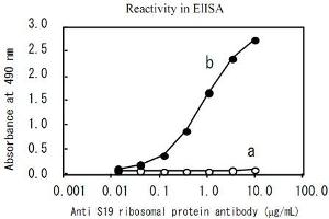 Reactivity in ELISA.
