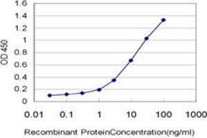 Detection limit for recombinant GST tagged OXSR1 is approximately 0. (OXSR1 antibody  (AA 1-527))