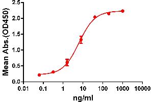 ELISA image for anti-G Protein-Coupled Receptor, Family C, Group 5, Member D (GPRC5D) (AA 1-27) antibody (ABIN6964058)