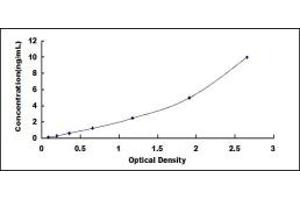 Typical standard curve (Glucocorticoid Receptor ELISA Kit)