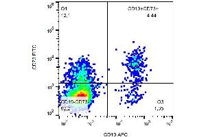 Surface staining (flow cytometry) of human peripheral blood with anti-human CD73 (AD2) FITC. (CD73 antibody  (FITC))