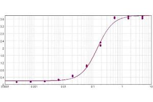 ELISA results of purified Polyclonal Donkey Anti-Sheep IgG Antibody Alkaline Phosphatase Conjugated tested against Sheep IgG. (Donkey anti-Sheep IgG (Heavy & Light Chain) Antibody (Alkaline Phosphatase (AP)) - Preadsorbed)