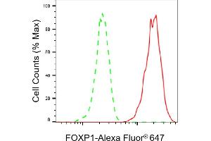 Flow cytometric analysis of FOXP1 expression in HT- cells using FOXP1 antibody (ABIN7798652), 1:2,000). (Recombinant FOXP1 antibody)