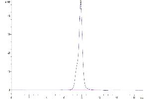 The purity of Human Osteoactivin is greater than 95 % as determined by SEC-HPLC. (Osteoactivin Protein (GPNMB) (AA 23-486) (His tag))