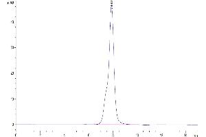 The purity of Human Osteoactivin is greater than 95 % as determined by SEC-HPLC.