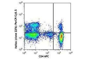Flow Cytometry (FACS) image for anti-IKAROS Family Zinc Finger 2 (IKZF2) antibody (PerCP-Cy5.5) (ABIN2660194) (IKZF2 antibody  (PerCP-Cy5.5))