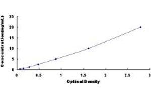 Retinoic Acid Receptor alpha ELISA Kit