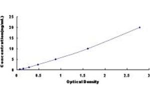 Typical standard curve (Retinoic Acid Receptor alpha ELISA Kit)