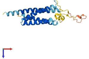 AlphaFold protein structure predicition of Mouse Recombinant Nkain3 Protein, UniprotID Q3URJ8 (Na+/K+ Transporting ATPase Interacting 3 (NKAIN3) (AA 1-181) protein (His tag))