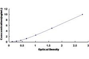 METAP2 ELISA Kit