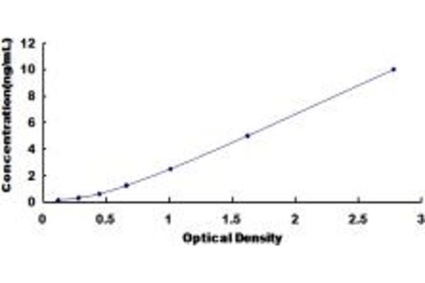 METAP2 ELISA Kit