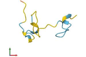 AlphaFold protein structure predicition of Human Recombinant MT1DP Protein, UniprotID A1L3X4 (MT1DP Protein (AA 1-49) (Fc Tag))