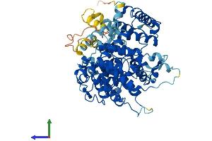 Protein Structure (PS) image for Plastin 1 (PLS1) (AA 1-630) protein (His tag) (ABIN7557336)