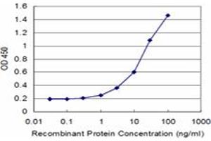Detection limit for recombinant GST tagged CRY2 is approximately 1ng/ml as a capture antibody. (CRY2 antibody  (AA 141-231))