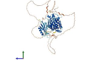 AlphaFold protein structure predicition of Human Recombinant MARK4 Protein, UniprotID Q96L34